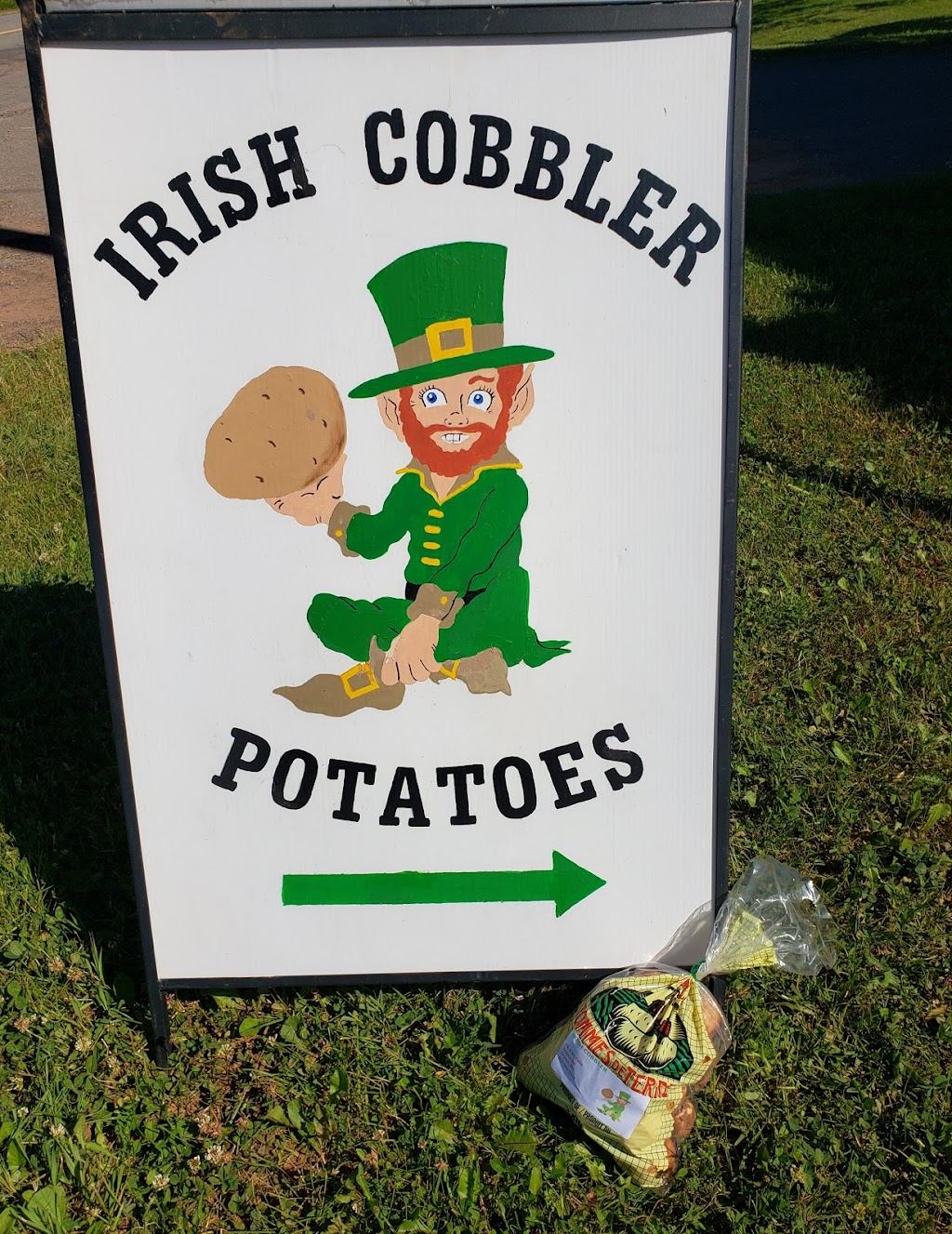 Rooney & McCabe Irish Cobbler Farm | 3690 Selkirk Road Orwell, Vernon Bridge, PE C0A 2E0, Canada | Phone: (902) 651-4419