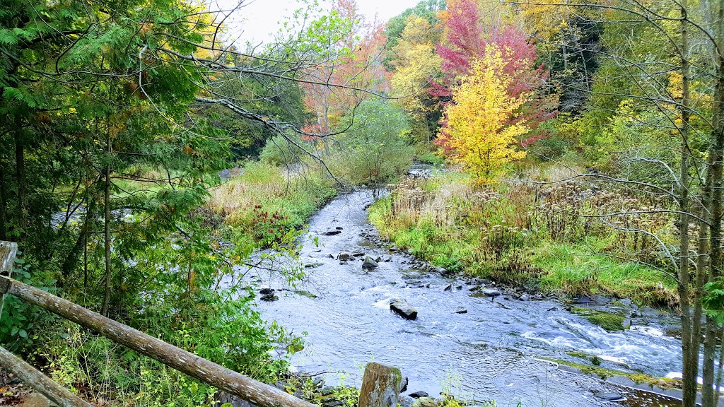 Mill of Kintail Conservation Area | 2854 Ramsay Concession 8, Almonte, ON K0A 1A0, Canada | Phone: (613) 256-3610