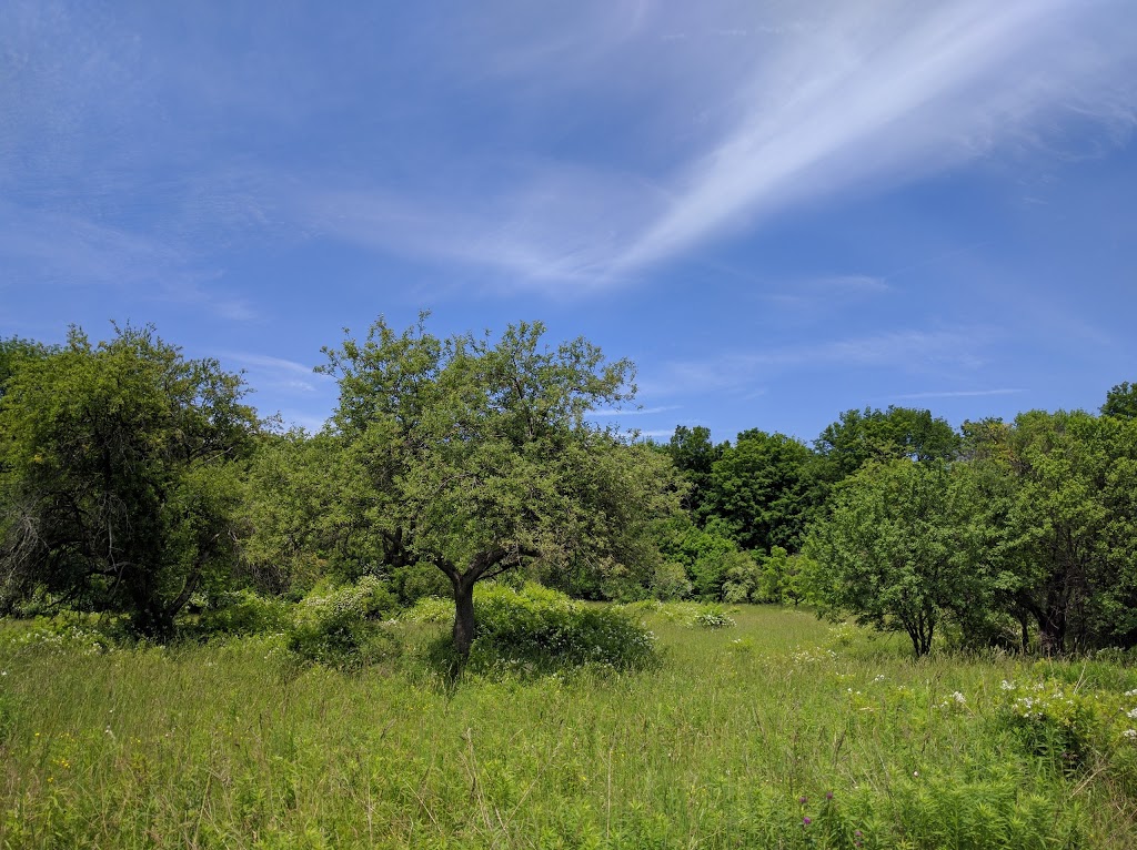 Dundas Main Loop | Bruce Trail, Dundas, ON L9H 5E3, Canada