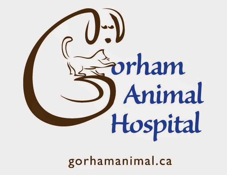 Gorham Animal Hospital | 852 Gorham St, Newmarket, ON L3Y 1L8, Canada | Phone: (905) 895-4552