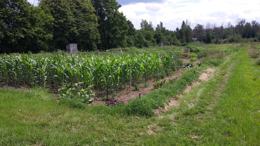 Riverside South Community Garden | Spratt Rd, Gloucester, ON K4M 0E2, Canada | Phone: (613) 822-3079