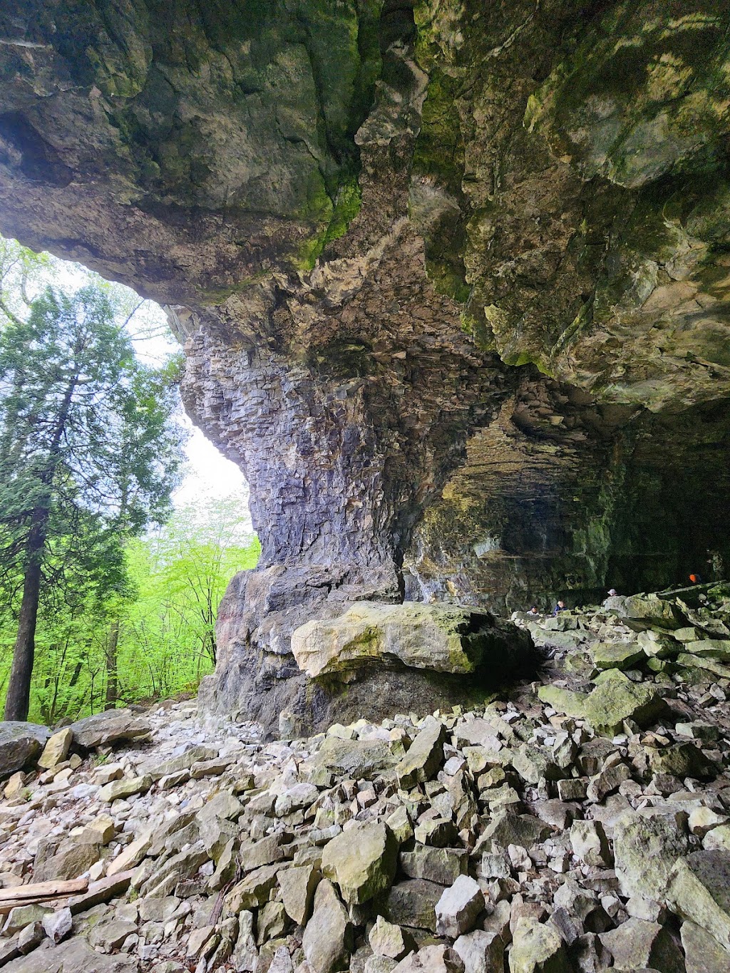 Bruces Caves Conservation Area | Grey Rd 1, Wiarton, ON N0H 2T0, Canada | Phone: (519) 376-3076