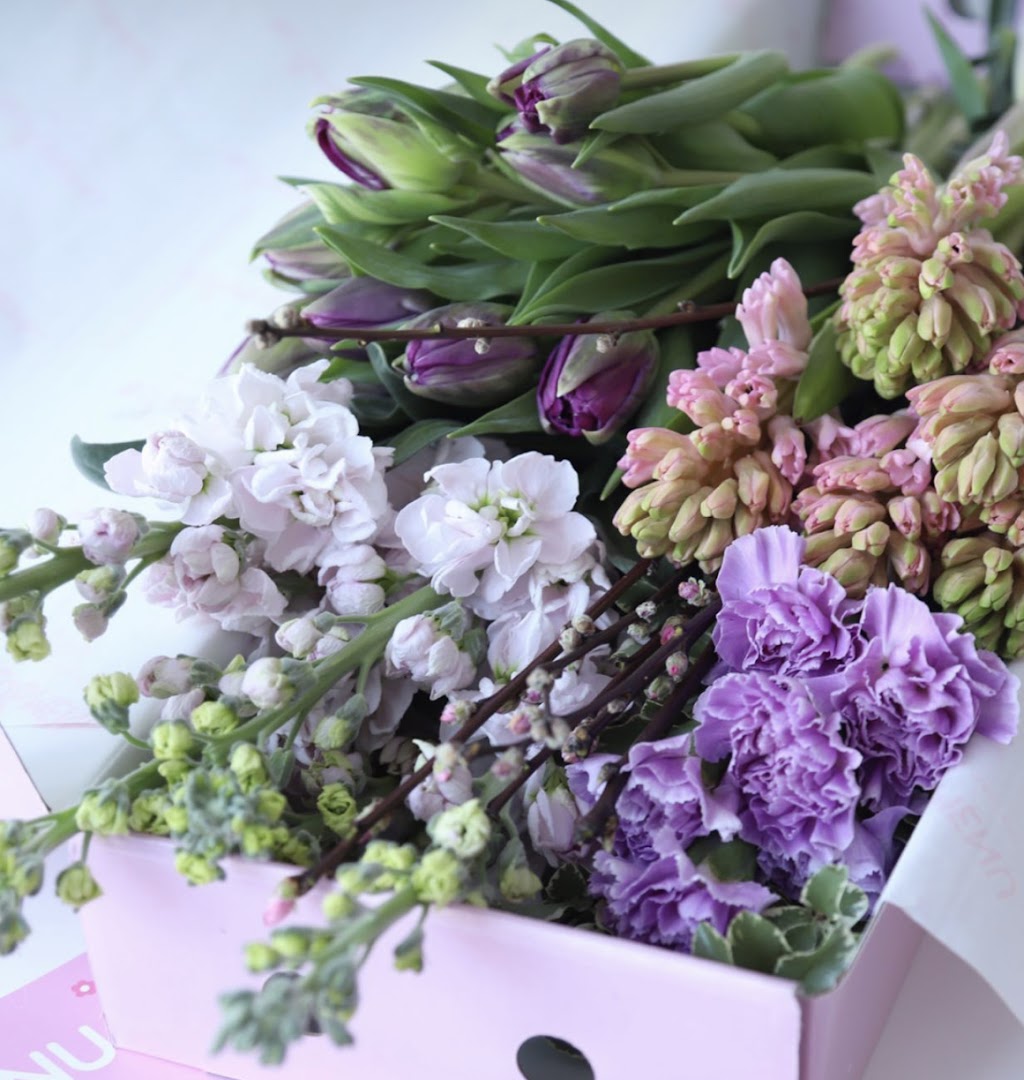 Bloom Deal Flower Subscription | 1393 Pinecliff Rd, Oakville, ON L6M 3Z1, Canada | Phone: (289) 400-5567