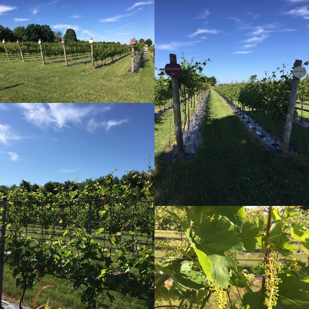 Vignoble Les Gémeaux | 766 ch 1st Concession, Hinchinbrooke, QC J0S 1A0, Canada | Phone: (514) 349-3061