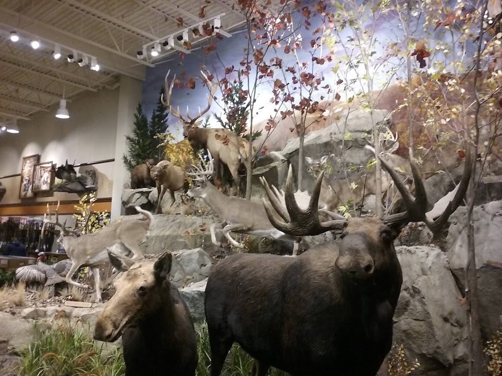 Cabelas | 45959 Towne Center Blvd, Chesterfield, MI 48047, USA | Phone: (586) 273-5100