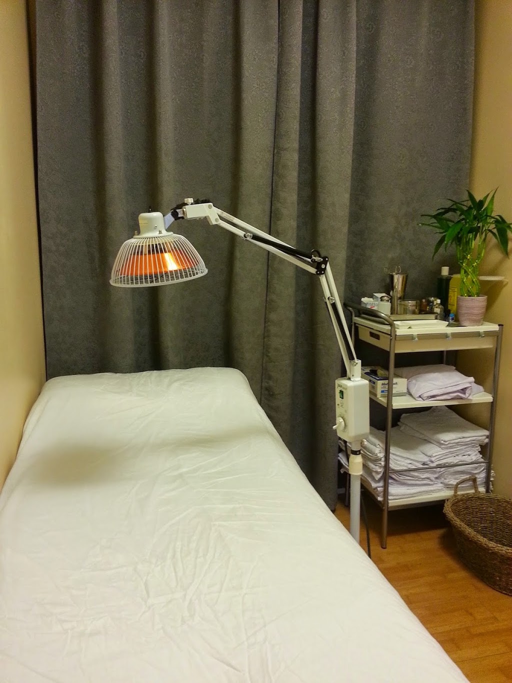 Inner Essence Traditional Chinese Medicine & Acupuncture | 5780 Cambie St, Vancouver, BC V5Z 3A6, Canada | Phone: (604) 336-6693