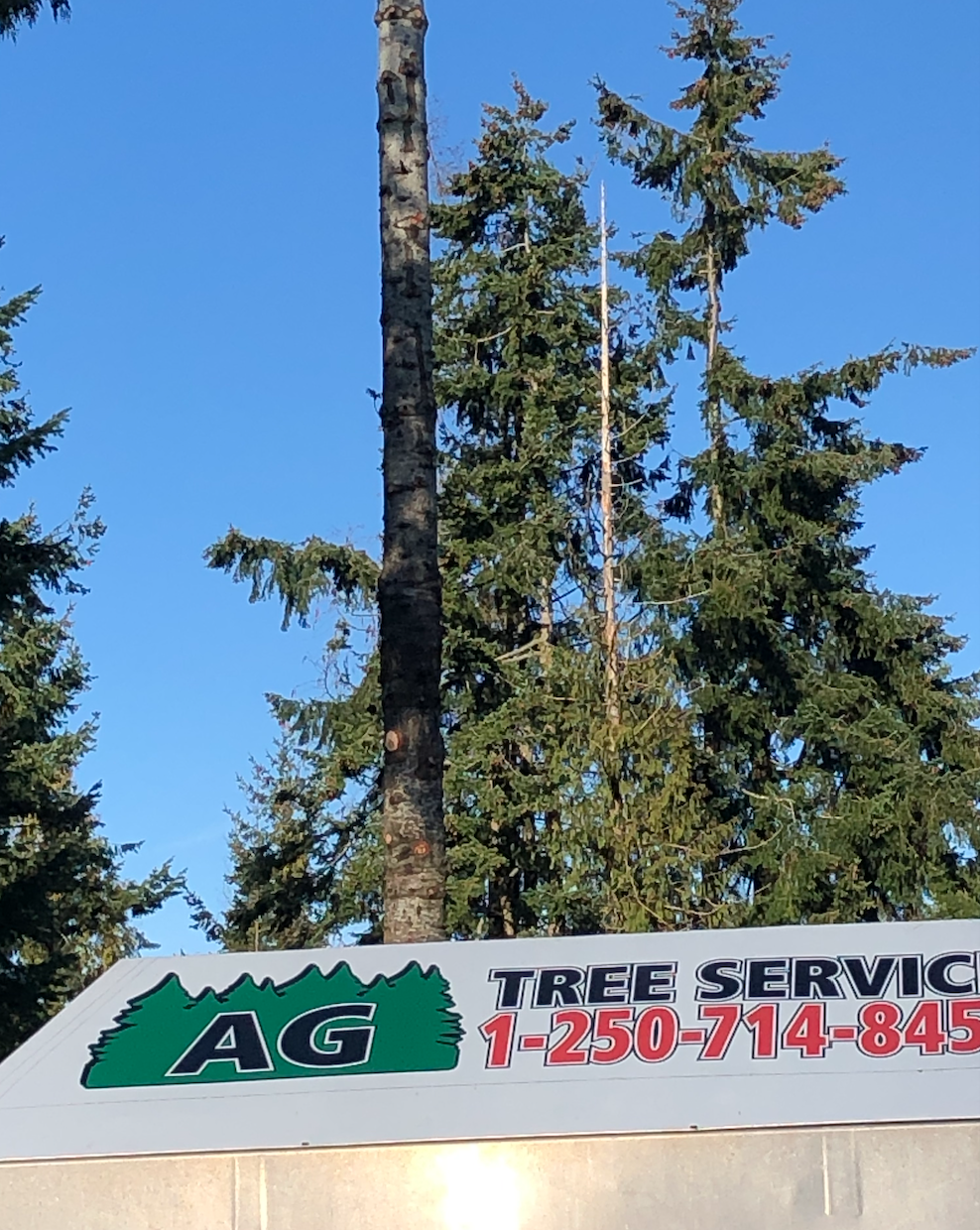 AG Tree Service | 775 Barclay Crescent, Parksville, BC V9P 1Z3, Canada | Phone: (250) 714-8454