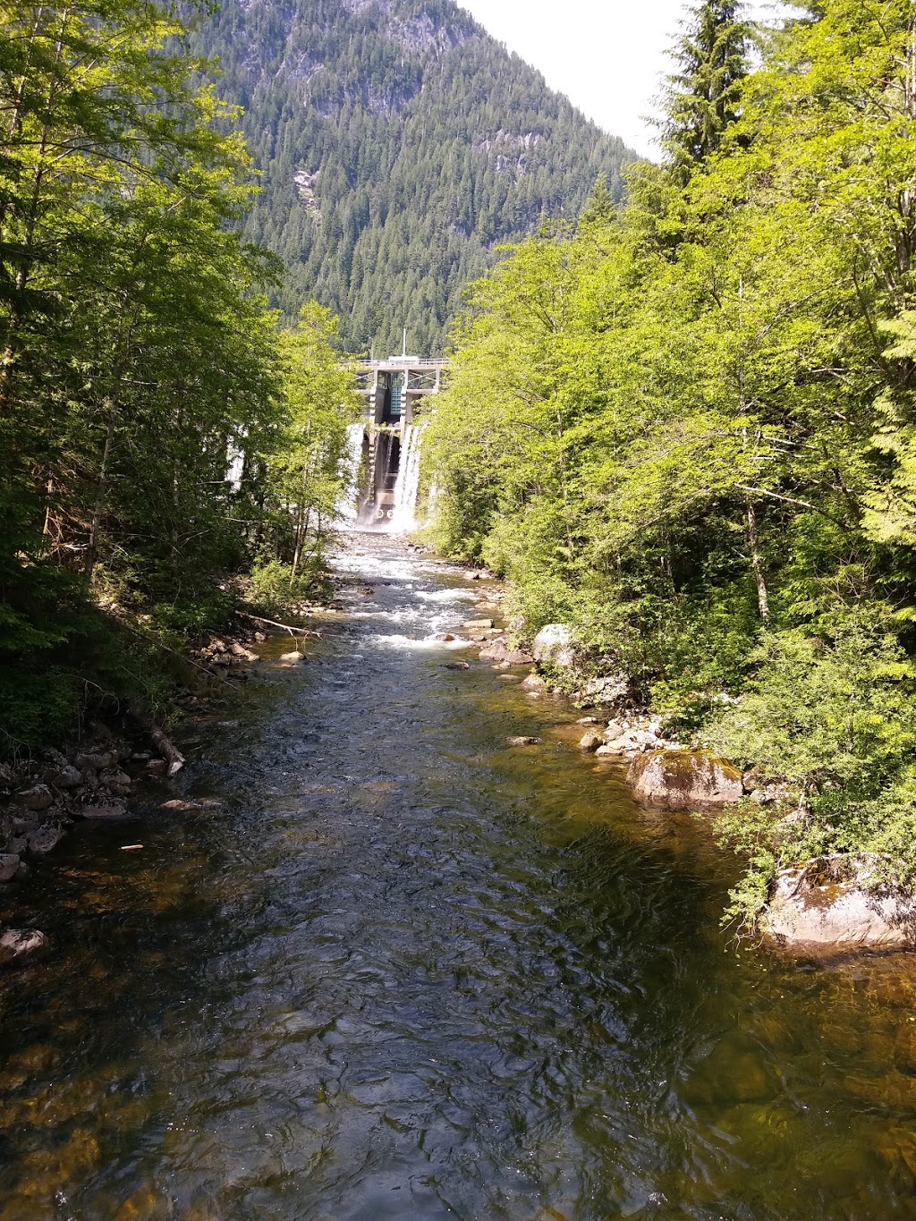 Seymour River Hatchery | Greater Vancouver A, BC V7K, Canada