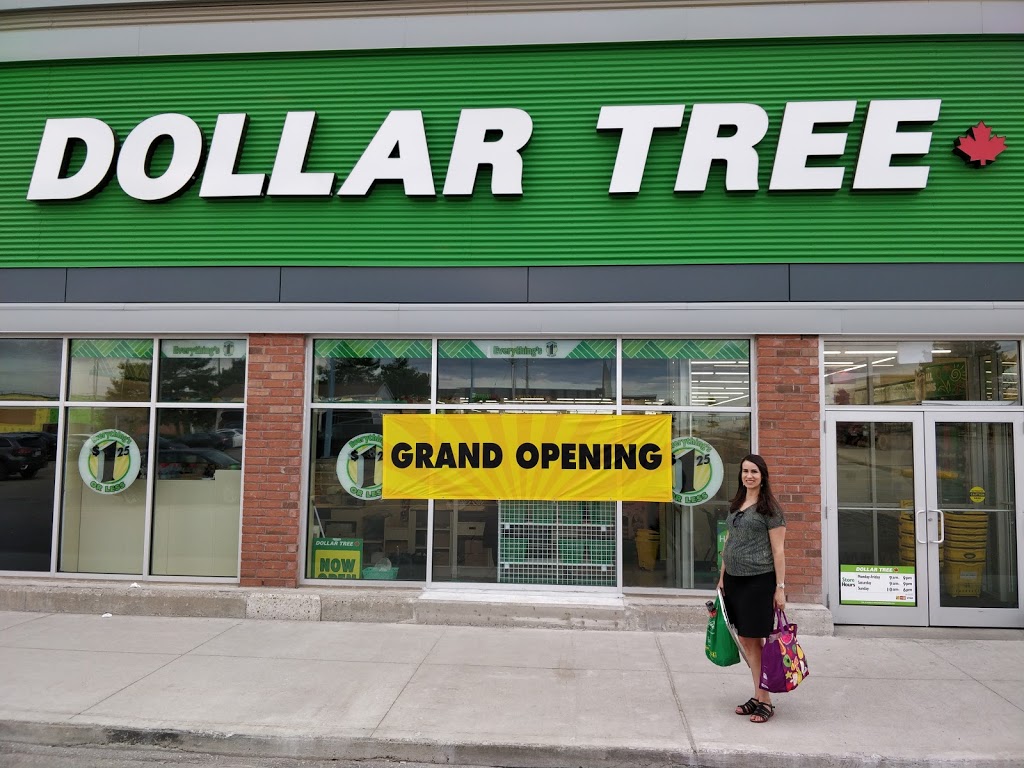 Dollar Tree | 585 Weber St N, Waterloo, ON N2V 1V8, Canada | Phone: (519) 954-0585