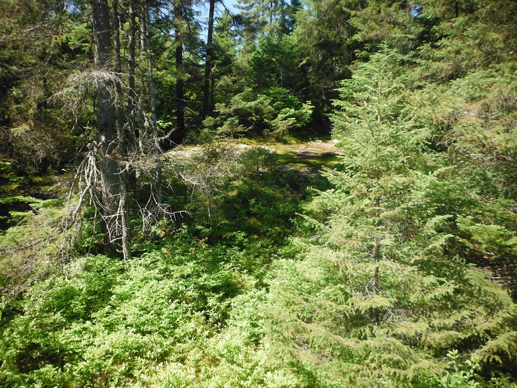 Hameaux De La Source | 387 Chem. de la Sablière, Lantier, QC J0T 1V0, Canada | Phone: (438) 558-9074