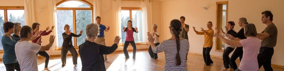 Cécile Colson Art du Chi (méditation Qi Gong, Tai Ji Quan, techn | 59e Rue Girouard, Victoriaville, QC G6P 5T2, Canada | Phone: (819) 990-2800