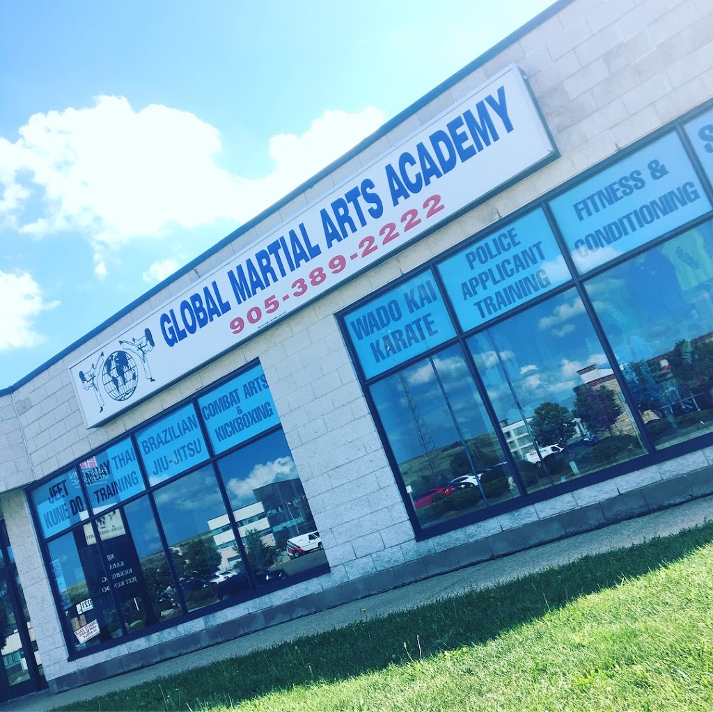 Global Martial Arts Academy | 1200 Stone Church Rd E, Hamilton, ON L8W 2C7, Canada | Phone: (905) 389-2222