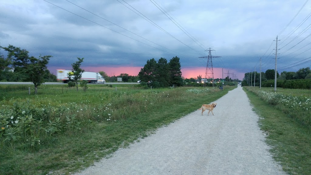 Off-Leash Dog Park | Hanlon Rd, Guelph, ON N1G, Canada