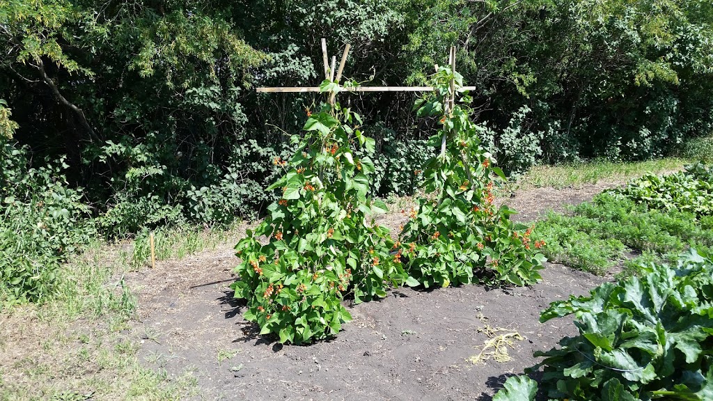 Piper Creek Community Gardens | Red Deer, AB T4R 2T3, Canada | Phone: (403) 342-8111