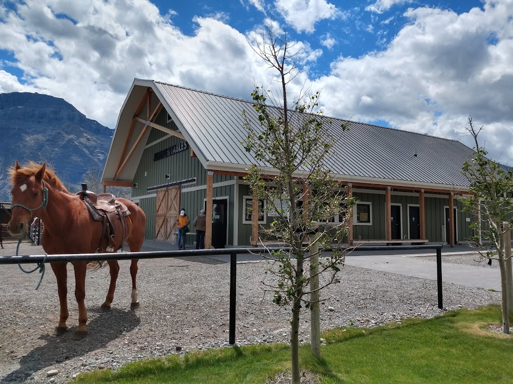 Alpine Stables Ltd | 1 marquis road, Waterton Park, AB T0K 2M0, Canada | Phone: (403) 859-2462