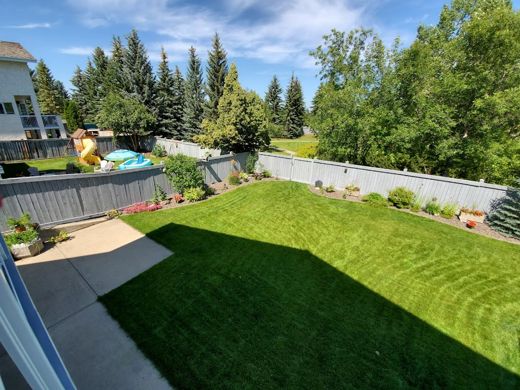 MAXIGREEN FERTILIZING & WEED CONTROL | 12813 58 St NW, Edmonton, AB T5A 4X1, Canada | Phone: (780) 444-3378