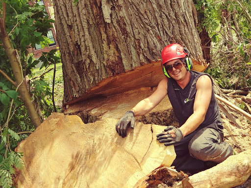 Arboriculture P.L.Lavoie. Élagage Émondage | 2225 route 125 Sud, Saint-Donat, QC J0T 2C0, Canada | Phone: (819) 507-0075