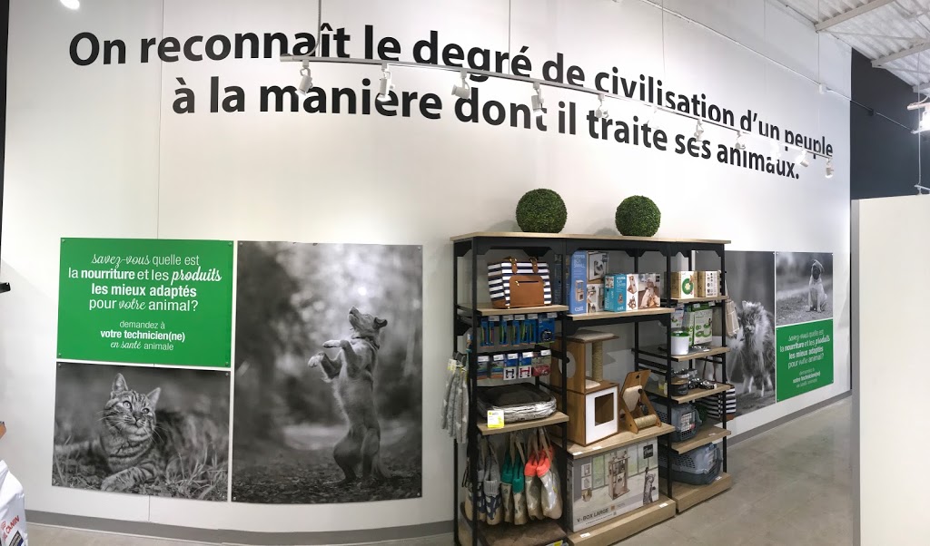 CLINIQUE VÉTÉRINAIRE QUARTIER ANIMAL DE LONGUEUIL | 4325 Chemin de Chambly, Saint-Hubert, QC J3Y 3M7, Canada | Phone: (450) 442-5191