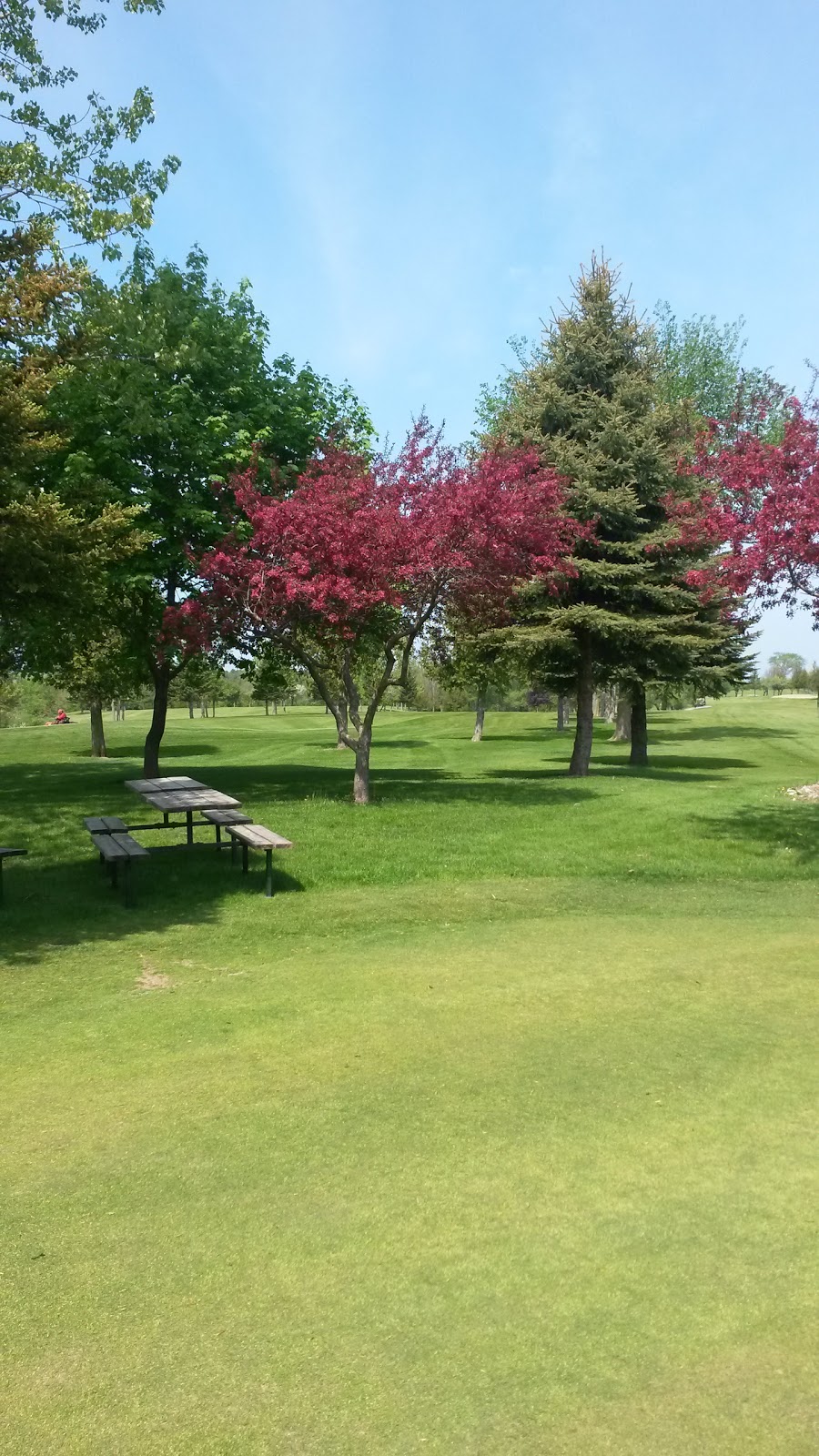 Somerhill Golf Course | 2483 ON-21, Tiverton, ON N0G 2T0, Canada | Phone: (519) 396-8450