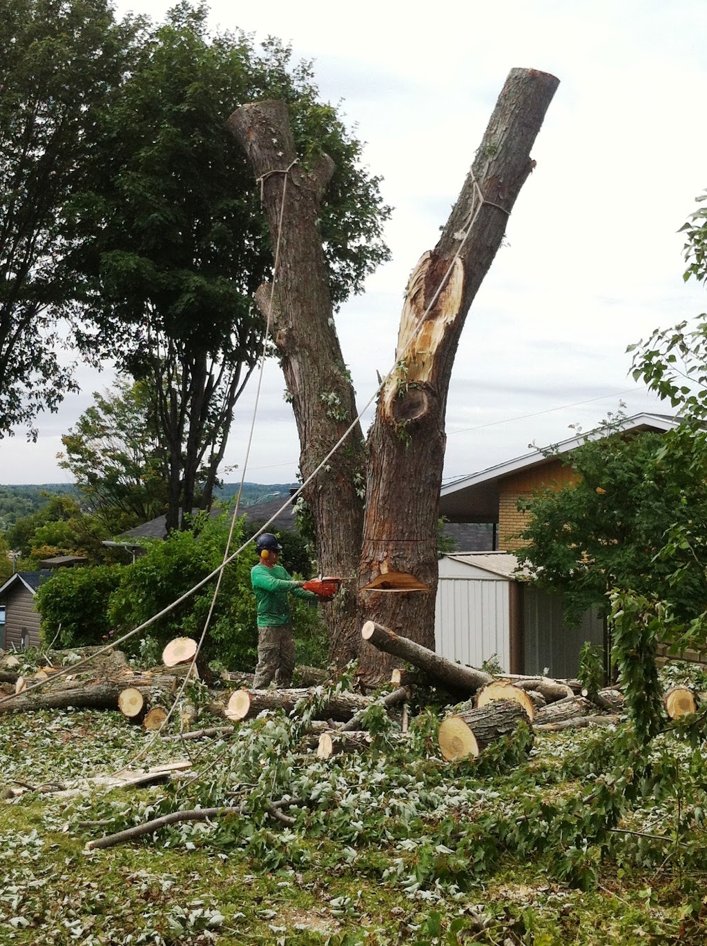 Québec Arbre-Service délagage en Beauce | 1985, Saint-Prosper, QC G0M 1Y0, Canada | Phone: (888) 594-8980