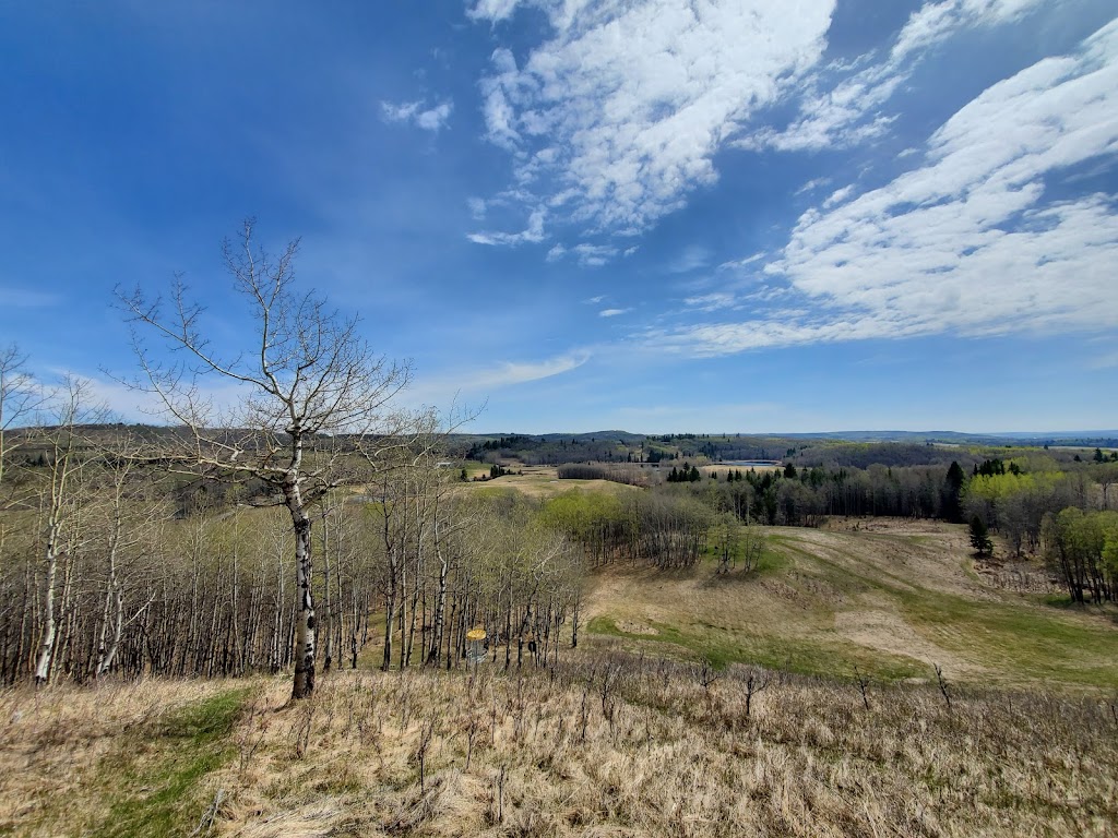 WJ Homestead Disc Golf | 258002 192 St W #10, Alberta T1S 2V3, Canada | Phone: (587) 434-7878