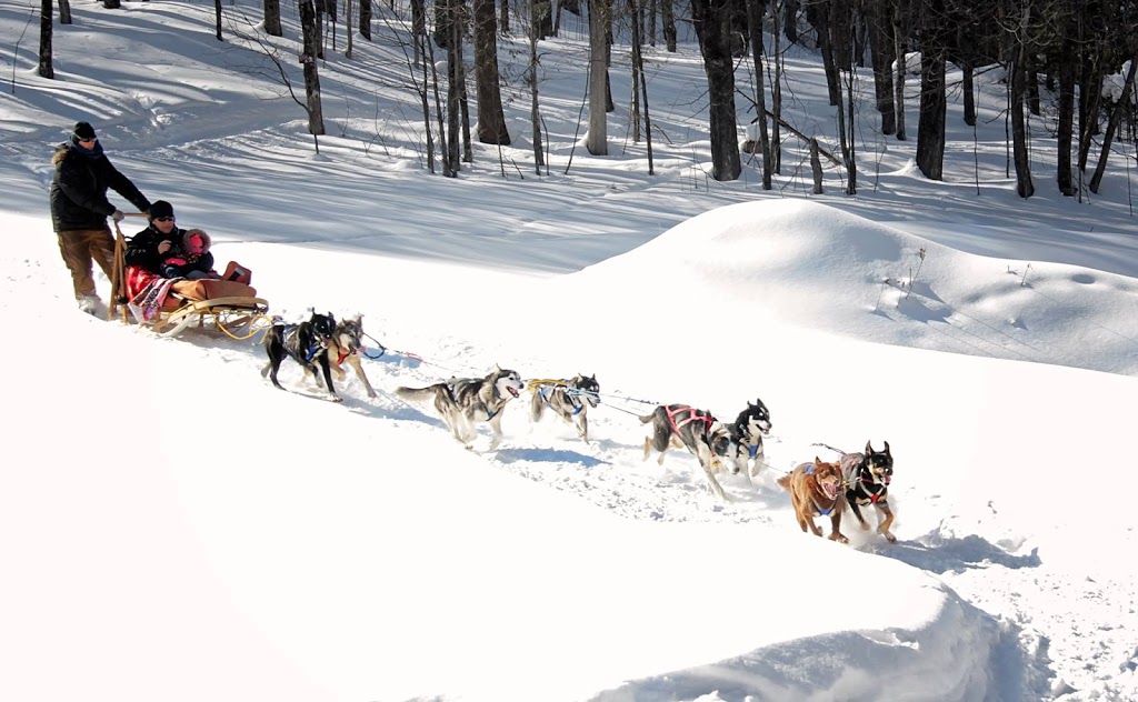 Gipsy Aventure - Traîneaux à chiens | 400 Rang William, Notre-Dame-de-la-Paix, QC J0V 1P0, Canada | Phone: (819) 592-4922