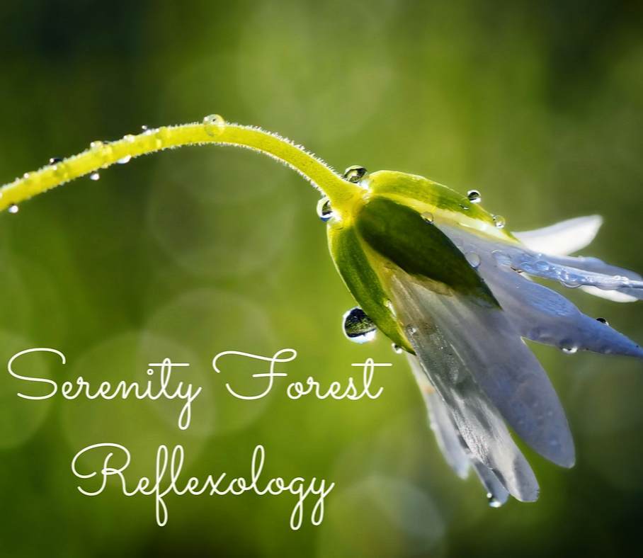 Serenity Forest Reflexology | Pratt Rd, Qualicum Beach, BC V9K 1W7, Canada | Phone: (250) 937-0910