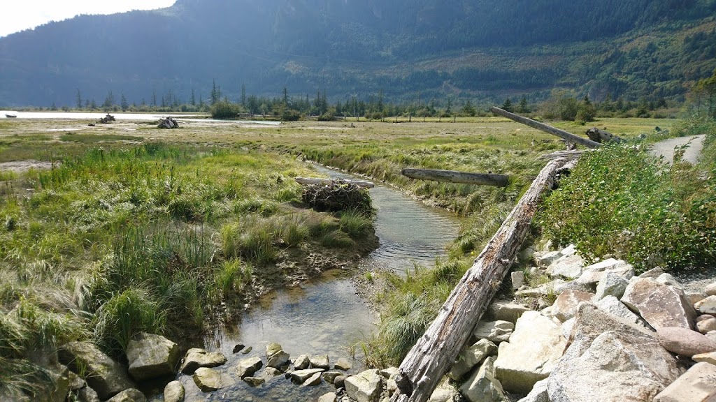 Squamish Estuary | Squamish, BC, Canada