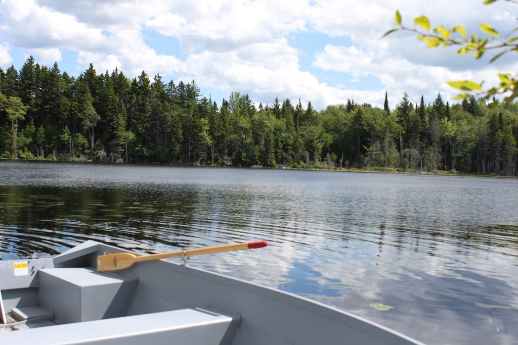 Pourvoirie Du Forestier | 481 Rte Trans Comté #151, Montmagny, QC G5V 3R9, Canada | Phone: (418) 248-2625