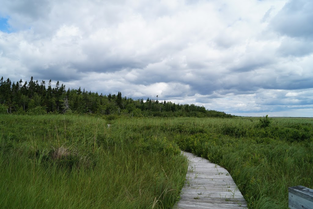 Kouchibouguac National Park | National 186, NB-117, Kouchibouguac, NB E4X 1V2, Canada | Phone: (506) 876-2443