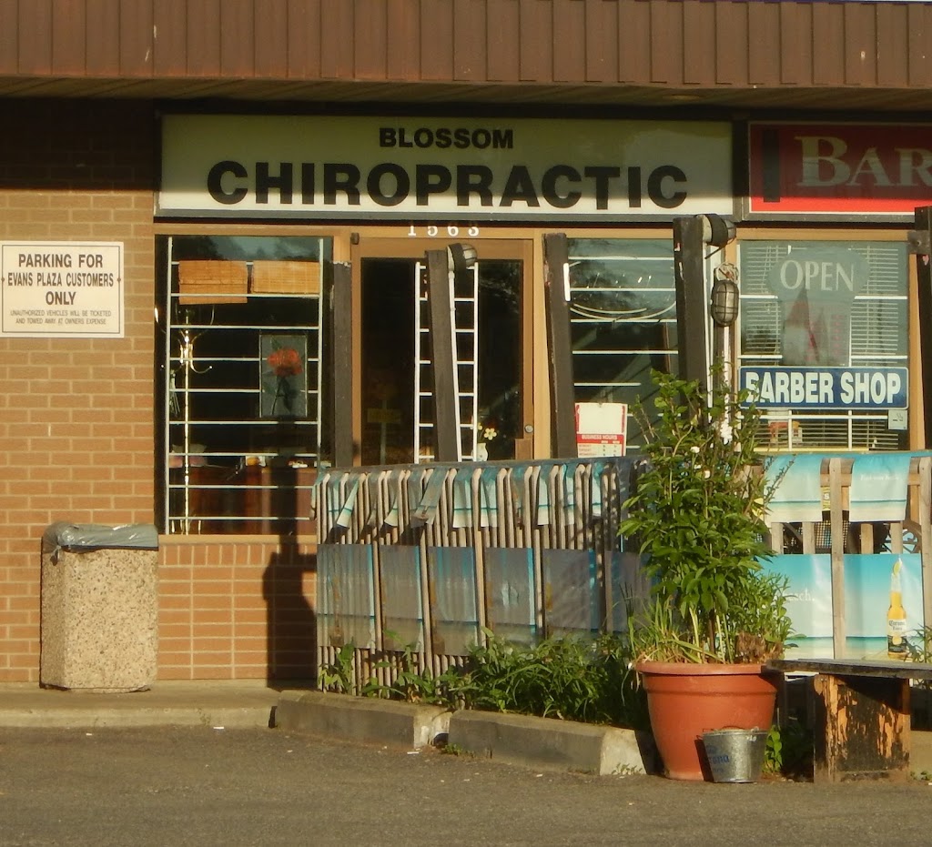 Blossom Chiropractic | 1563 Bank St, Ottawa, ON K1H 7Z3, Canada | Phone: (613) 247-9413