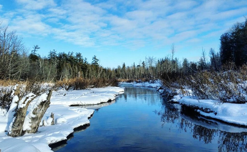 Pipers Glen Park | Unnamed Road, Ayr, ON N0B 1E0, Canada