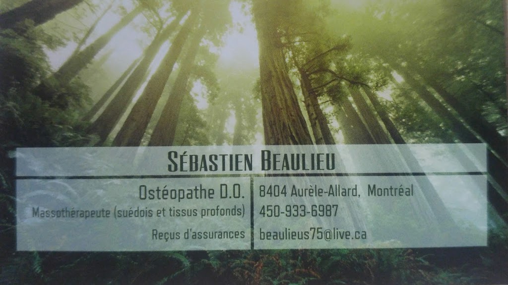 Sébastien Beaulieu Ostéopathe D.O. | 8404 Rue Aurèle-Allard, Montréal, QC H2M 2T5, Canada | Phone: (450) 933-6987