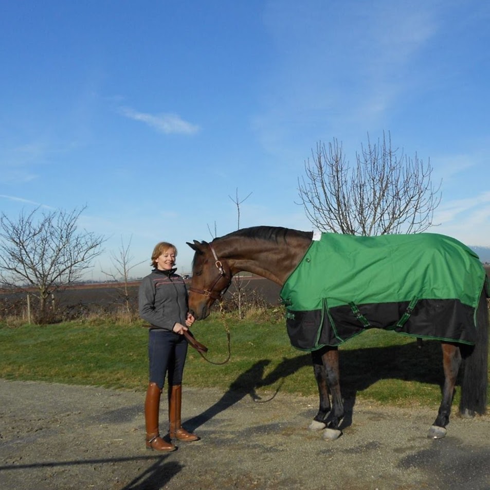 Champion Horse Blankets | 12044 McIntyre Ct, Maple Ridge, BC V2X 8M8, Canada | Phone: (778) 513-5870