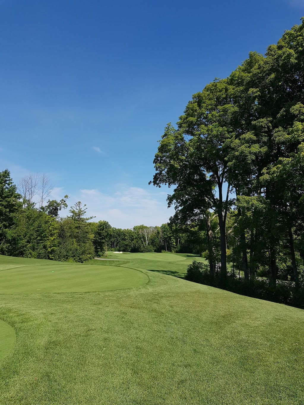 The Nest Golf Club | 3800 Friday Dr, Innisfil, ON L9S 3E1, Canada | Phone: (705) 812-8880 ext. 8137