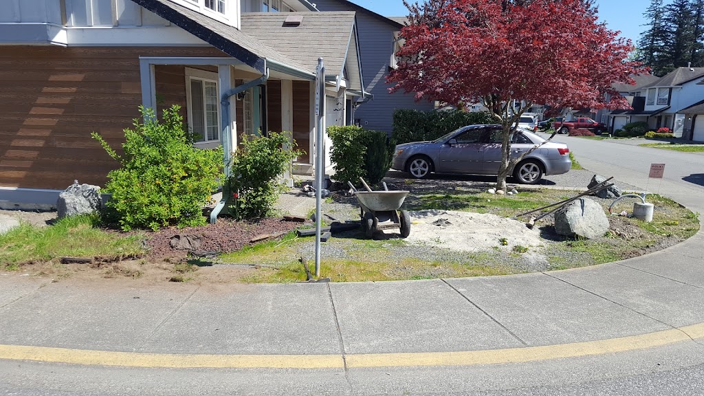 Bushwackers tree cutting and landscaping services | Lewis &, Williams St, Chilliwack, BC V2P 5G4, Canada | Phone: (604) 613-4710