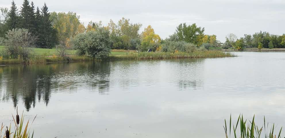 Nicholas Sheran Picnic Shelter | Nicholas Sheran Park, Coal Banks Trail, Lethbridge, AB T1K 3W3, Canada | Phone: (403) 320-3020