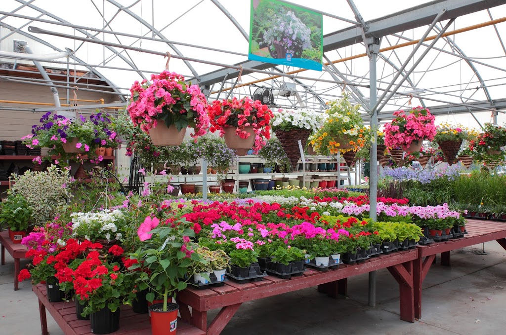 Gauthier Fleurs et Jardins | 4936 Boul Gene-H.-Kruger, Trois-Rivières, QC G9A 4N1, Canada | Phone: (819) 375-4813