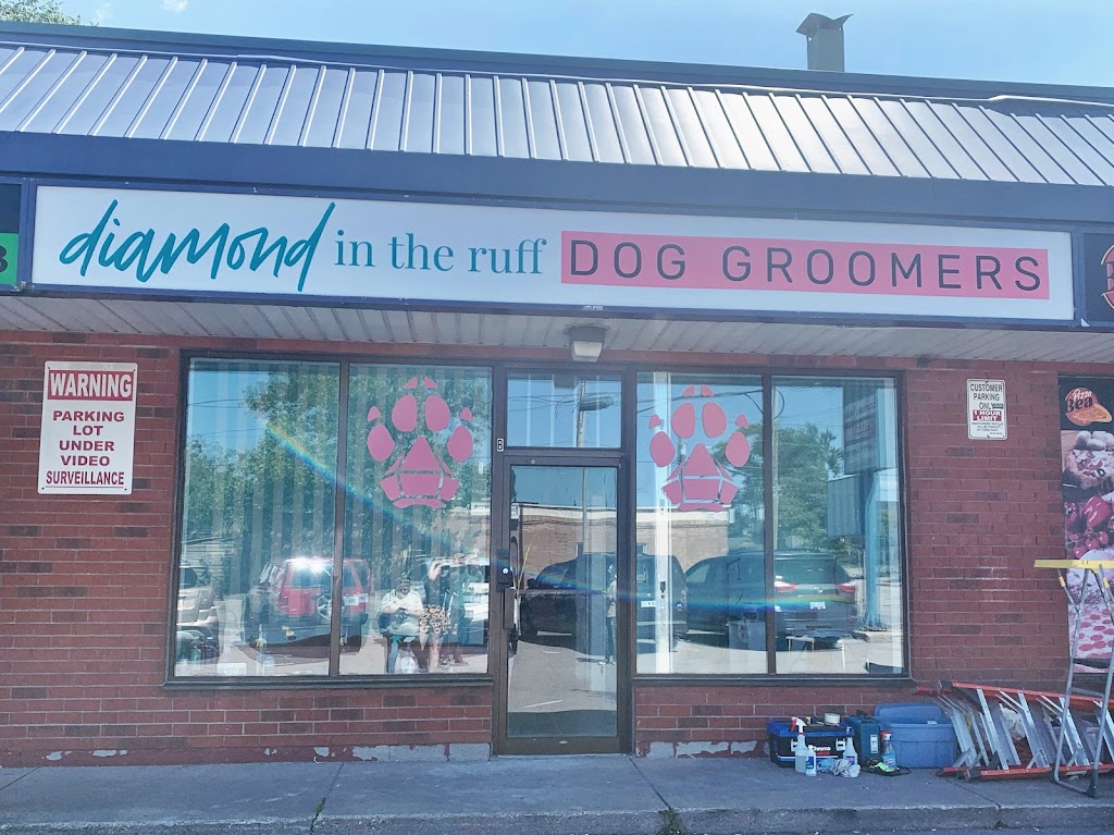 Diamond in the Ruff Dog Groomers | 314 Queenston Rd Unit B, Hamilton, ON L8K 1H5, Canada | Phone: (905) 544-7833