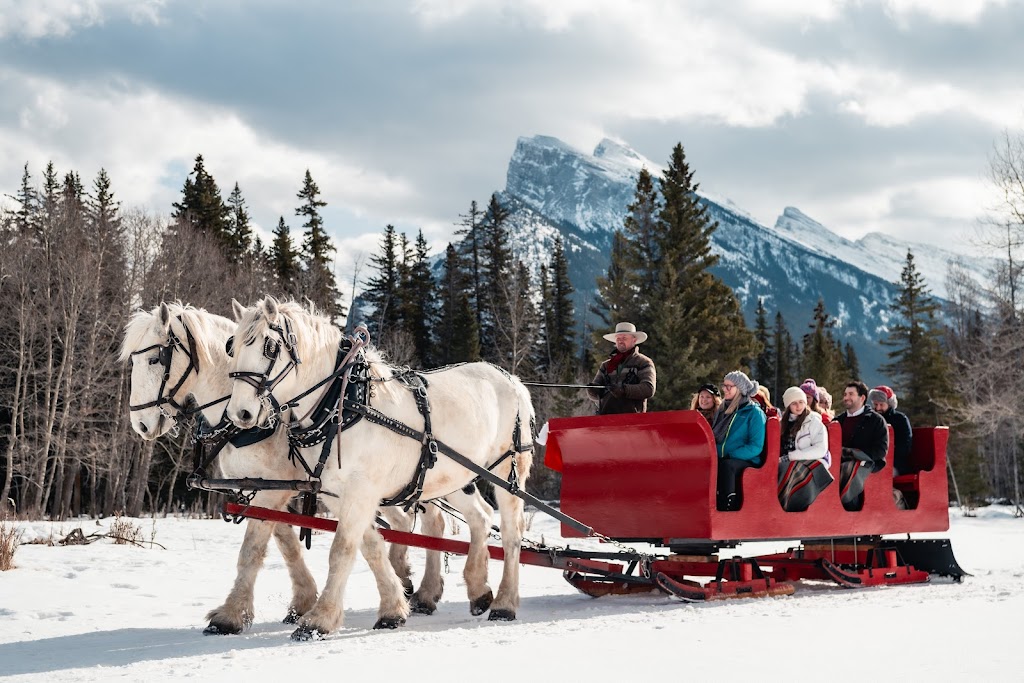 Banff Trail Riders - Stables | 100 Sundance Rd, Banff, AB T1L 1B9, Canada | Phone: (403) 762-4551