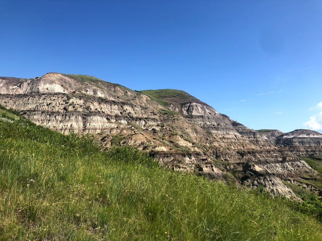 Dry Island Buffalo Jump Provincial Park | Hwy 585, Elnora, AB T0M 0Y0, Canada | Phone: (403) 742-7516