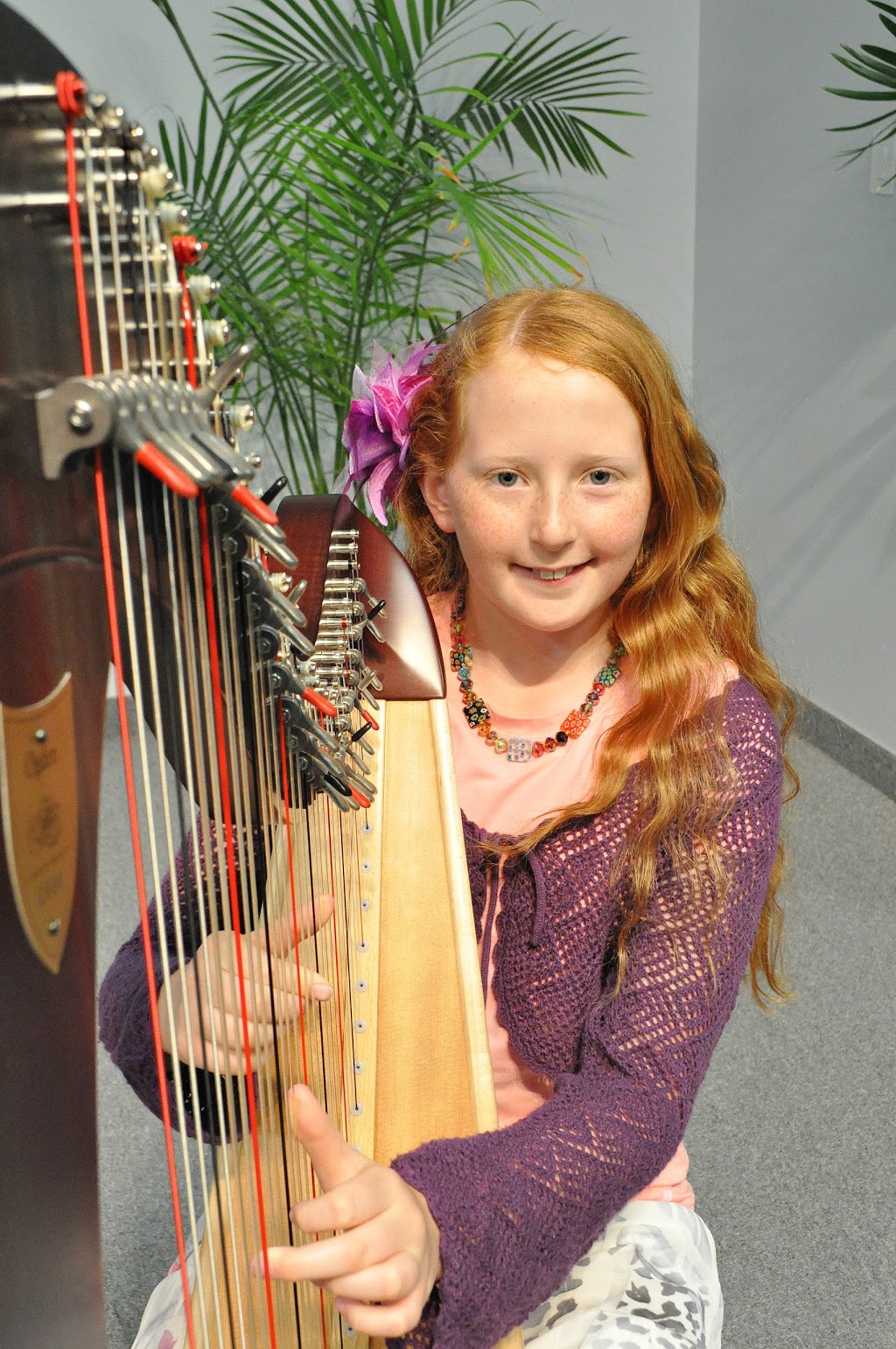 Chantal Dube the Harpist | 58 Somerville Rd, Acton, ON L7J 2Z7, Canada | Phone: (416) 909-9944