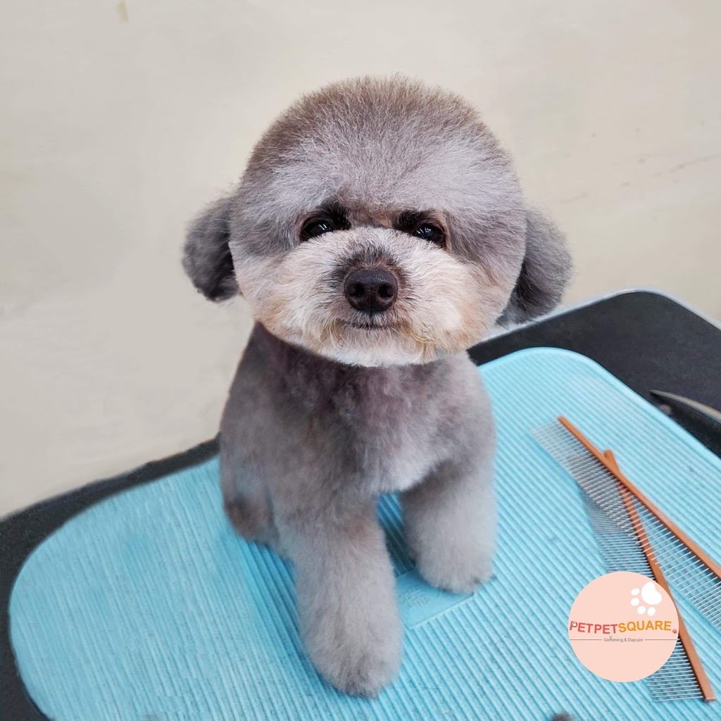 Pet Pet Square..(Grooming,Daycare,Home Boarding) | 6012 Denbigh Ave, Burnaby, BC V5H 3R5, Canada | Phone: (236) 513-9738