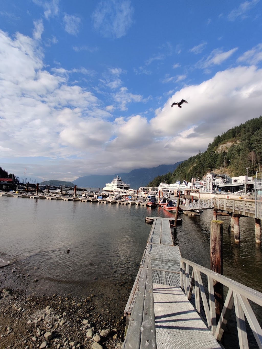 Sewells Marina | 6409 Bay St, West Vancouver, BC V7W 3H5, Canada | Phone: (604) 921-3474