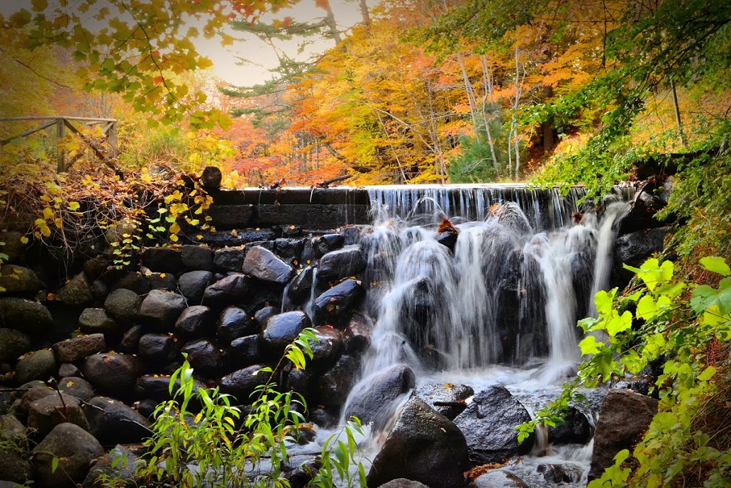 Wile Carding Mill Museum | 242 Victoria Rd, Bridgewater, NS B4V 3X9, Canada | Phone: (902) 543-8233