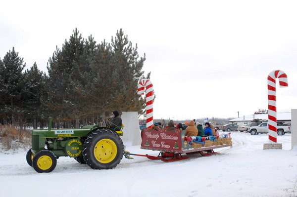 Windrift Christmas Tree Farm | rd 38e between 76 and 77, Tyndall, MB R0E 2B0, Canada | Phone: (204) 791-9421