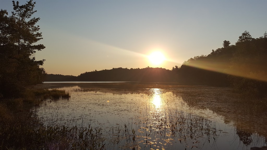 Sharbot Lake Provincial Park | 25467 ON-7, Sharbot Lake, ON K0H 2P0, Canada | Phone: (613) 335-2814