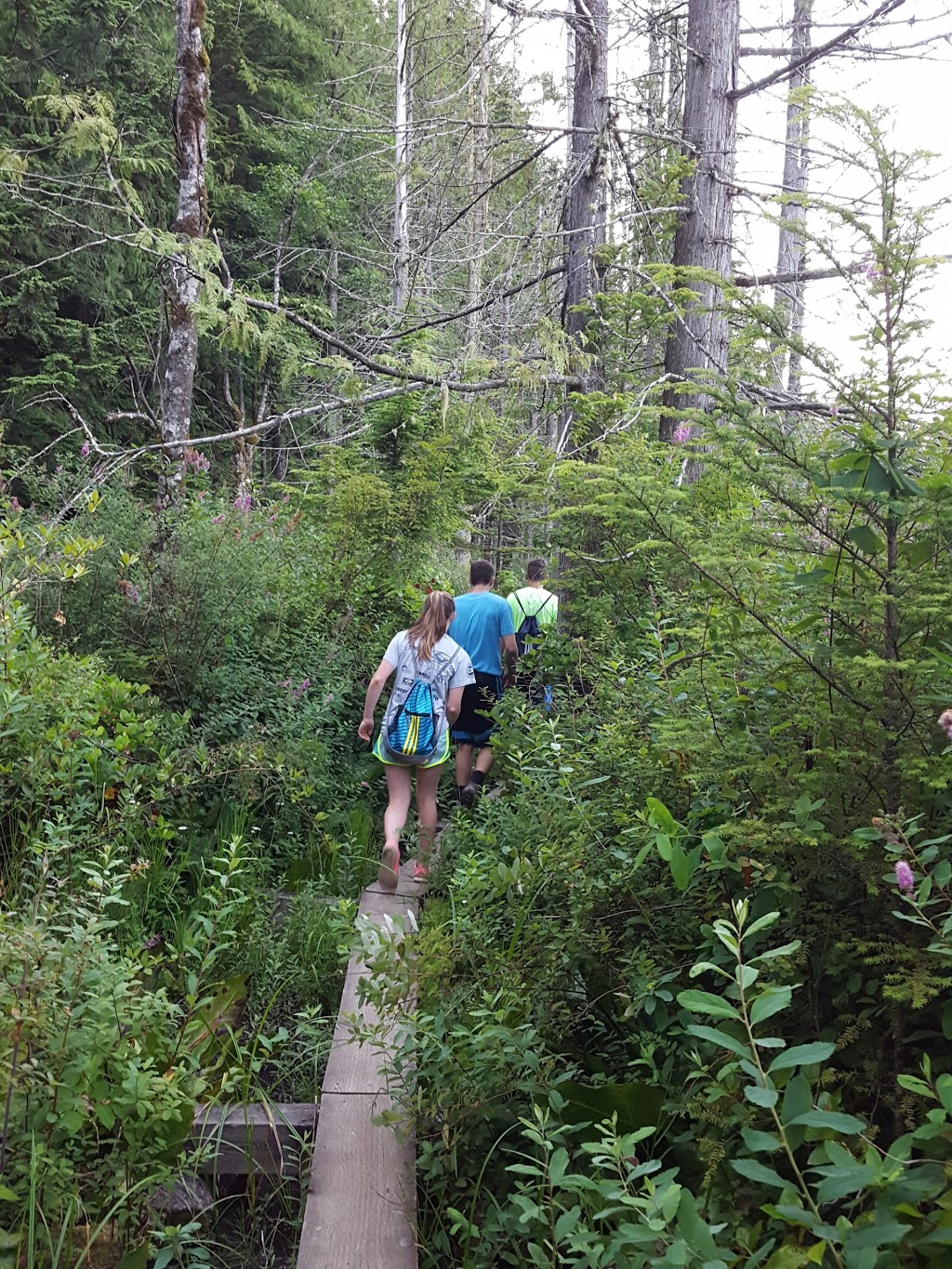 Chuckanut Mountain / Pine & Cedar Lakes County Park | Pine and Cedar Lakes Trail, Bellingham, WA 98229, USA | Phone: (360) 733-2900