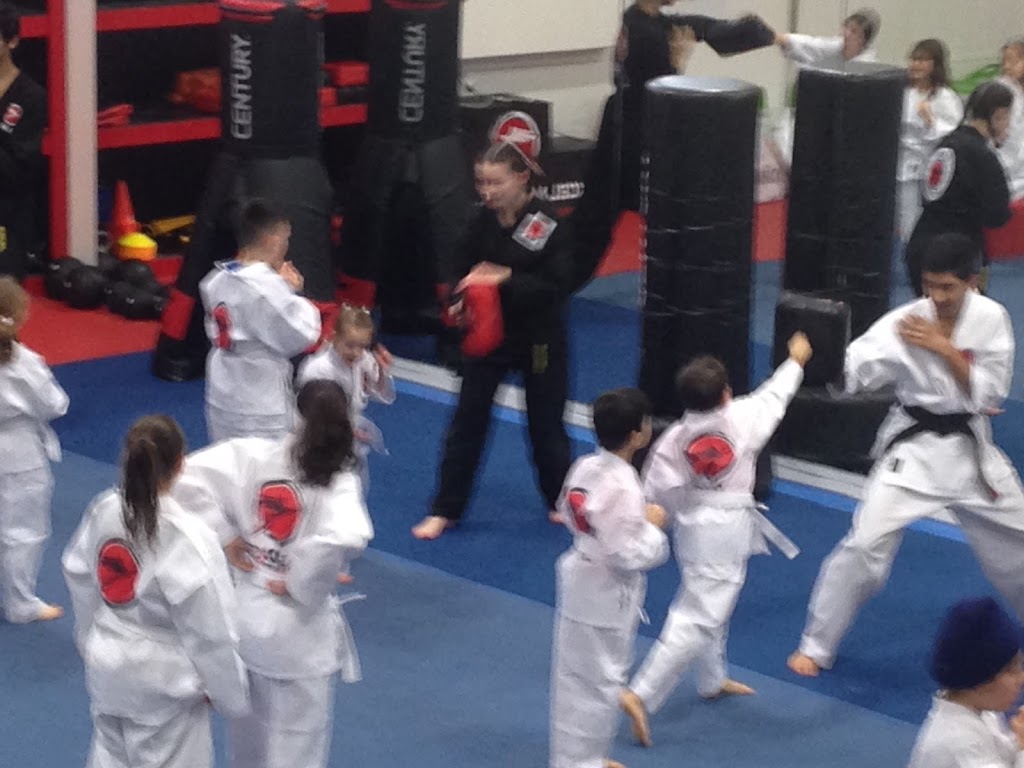 Excel Martial Arts | 6995 Bridge St, Mission, BC V2V 2X5, Canada | Phone: (604) 820-3011