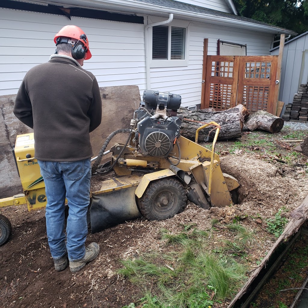 Chip It Stump Removal ltd | 37138 Dawson Rd, Abbotsford, BC V3G 2K9, Canada | Phone: (604) 855-1436